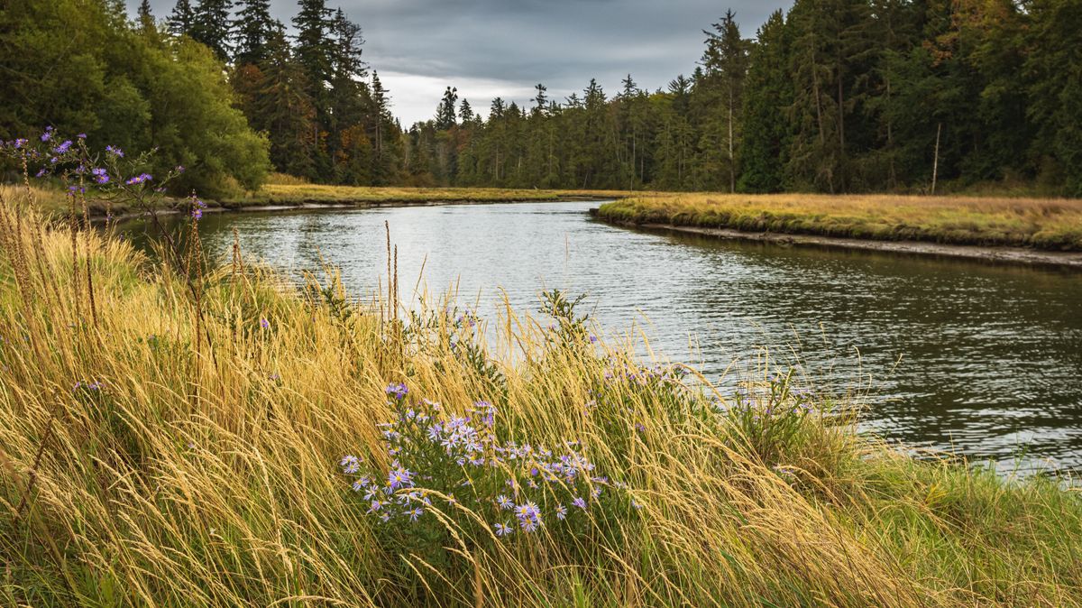 Duna, Tisza, vízállás