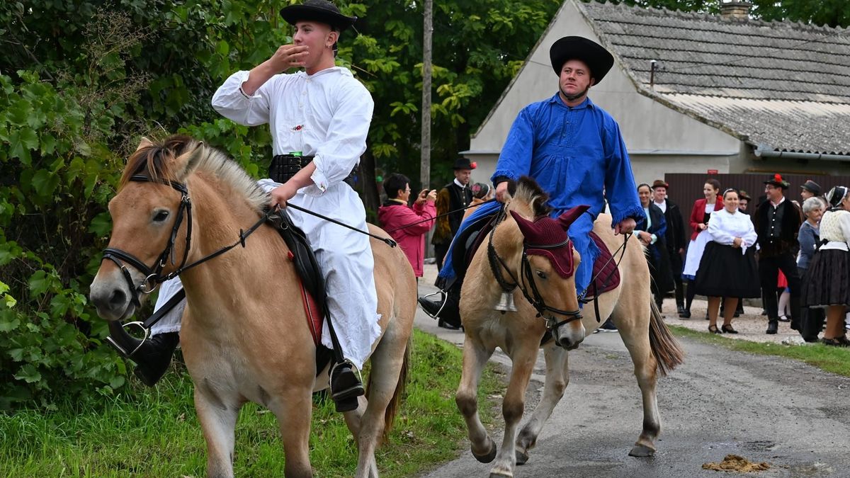 szüreti felvonulás, bál, ősz