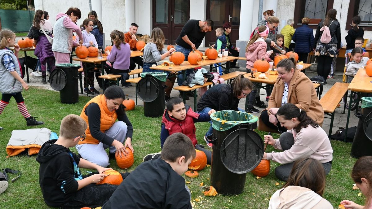 Tök jó délután, Szabadszálás, tökfaragás