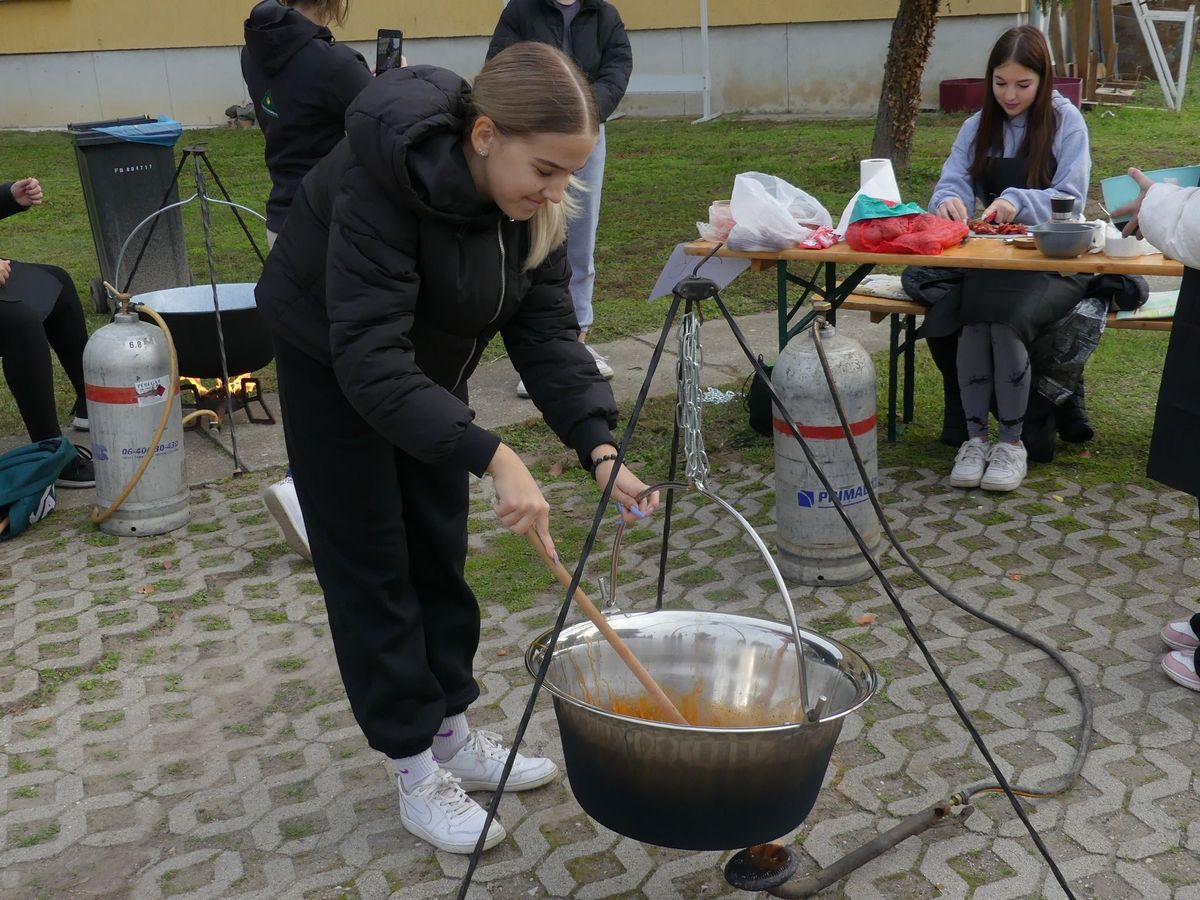 Hunyadi János Gimnázium, Bácsalmás, krumplipaprikás, 