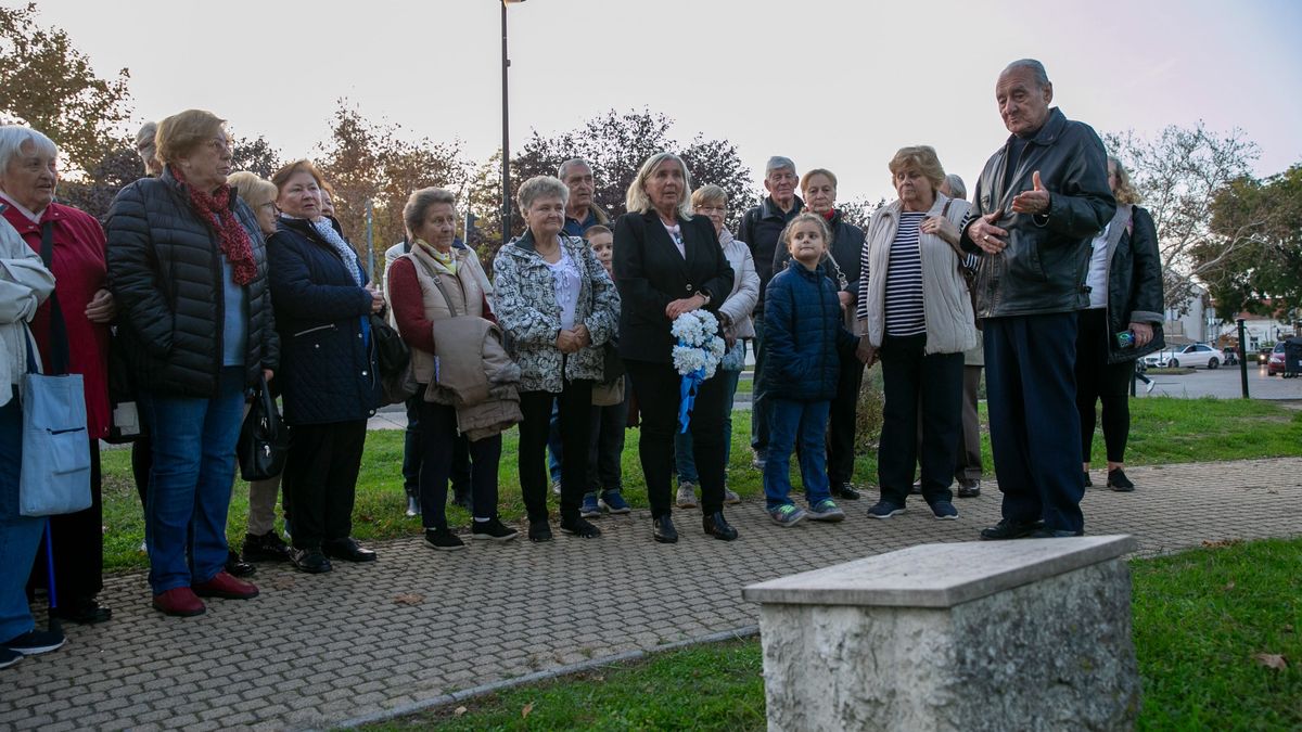 összefoglaló, Bács-Kiskun, hírek