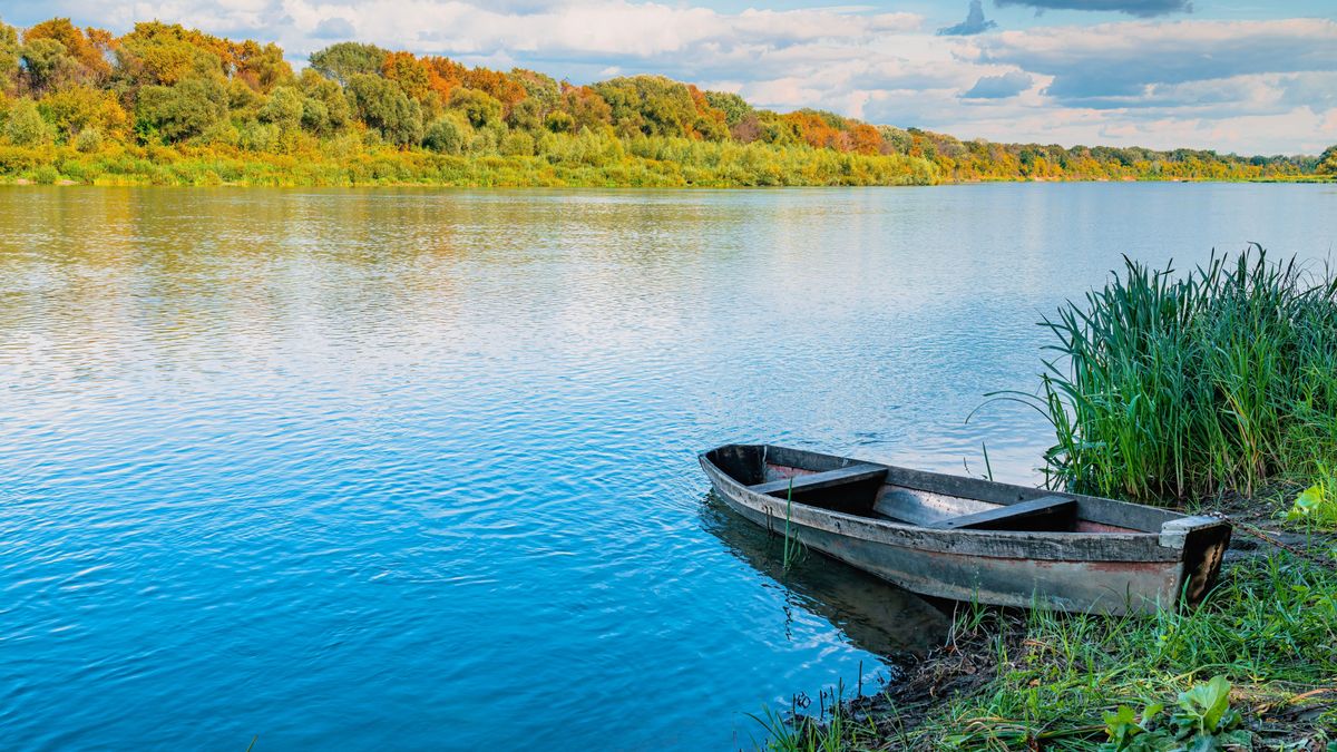 Duna, Tisza, vízállás