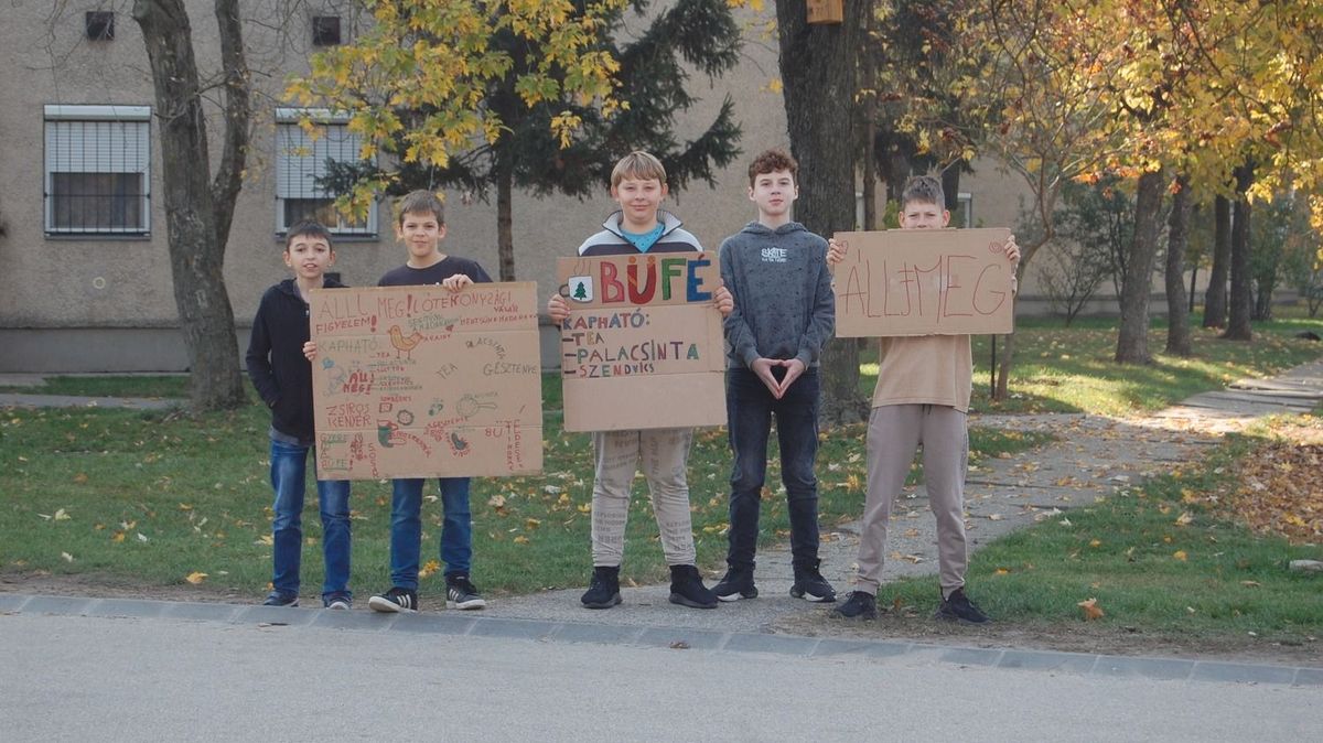 önkéntes madármentő, támogatás, jótékonyság