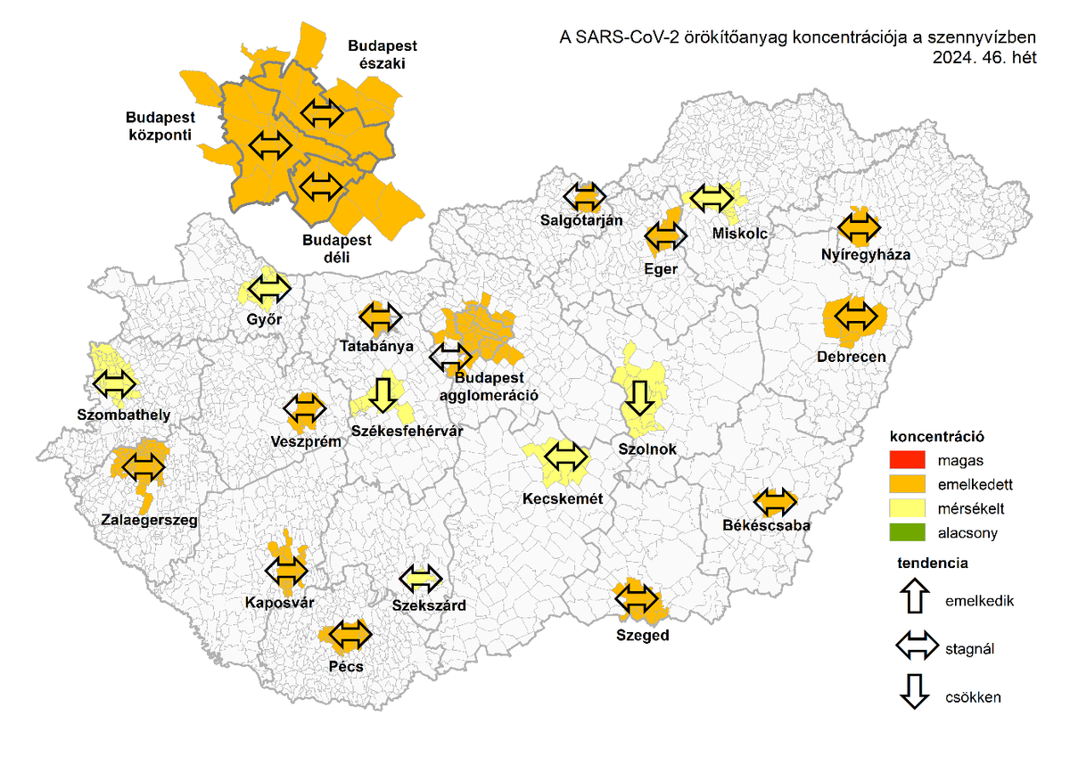 koronavírus, szennyvíz, SARS-CoV-2