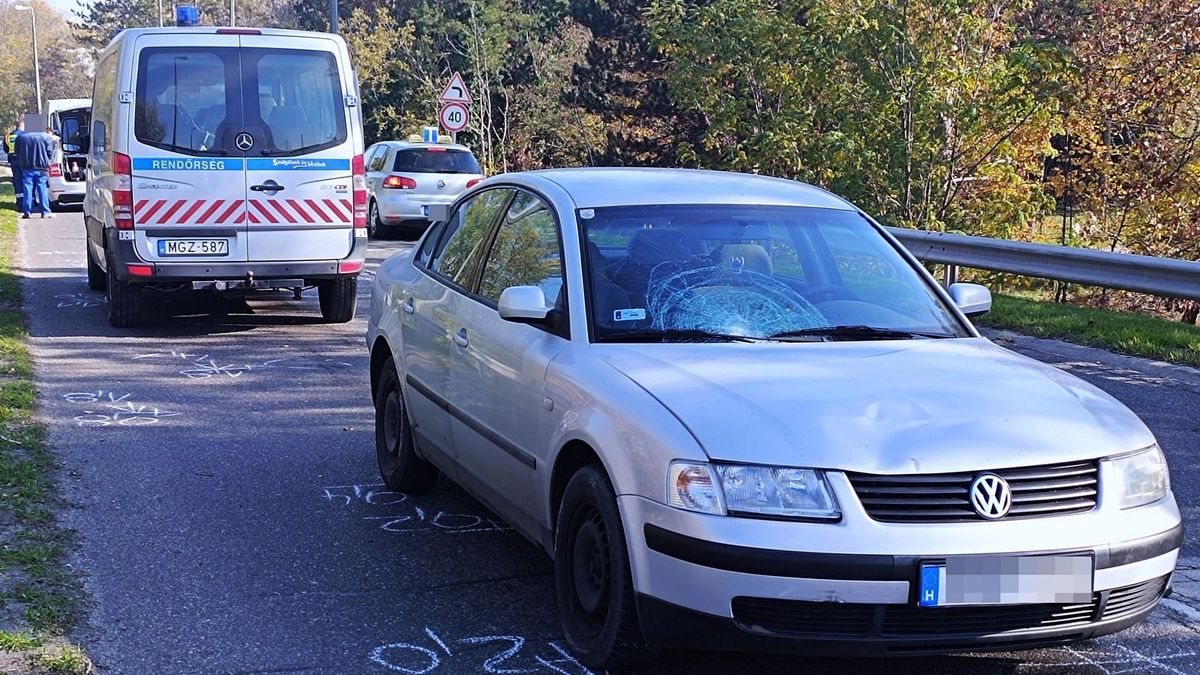 Elgázolt egy autós egy férfit, halálos baleset, rendőrség