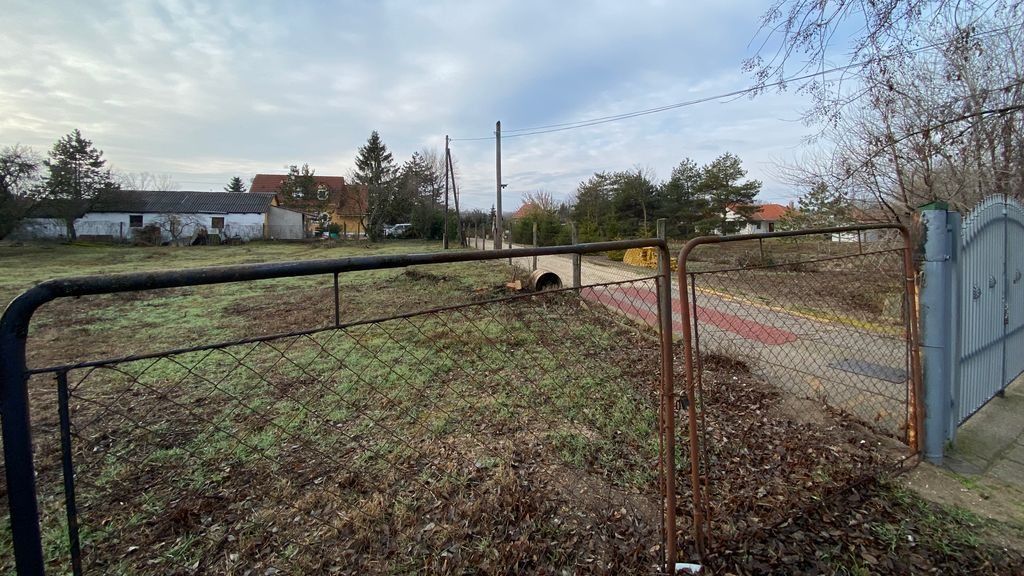Családi mészárlás Kecskeméten, hírösszefoglaló, emberölés