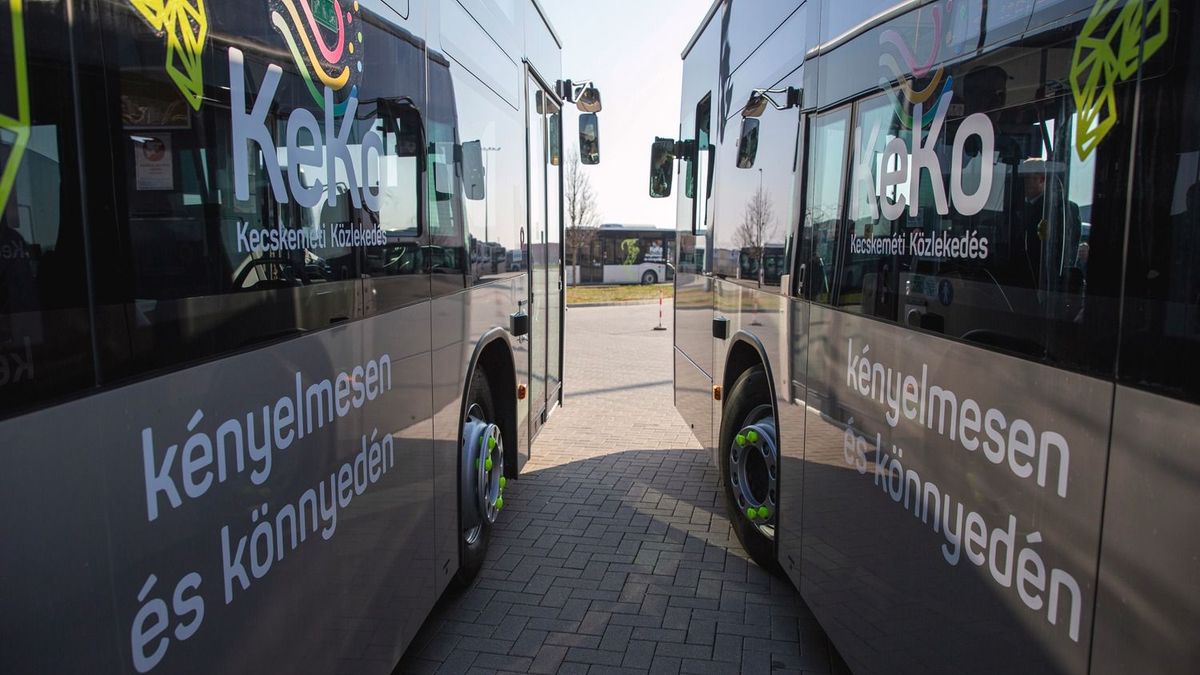 kecskeméti busz, menetrend, éjszakai járat