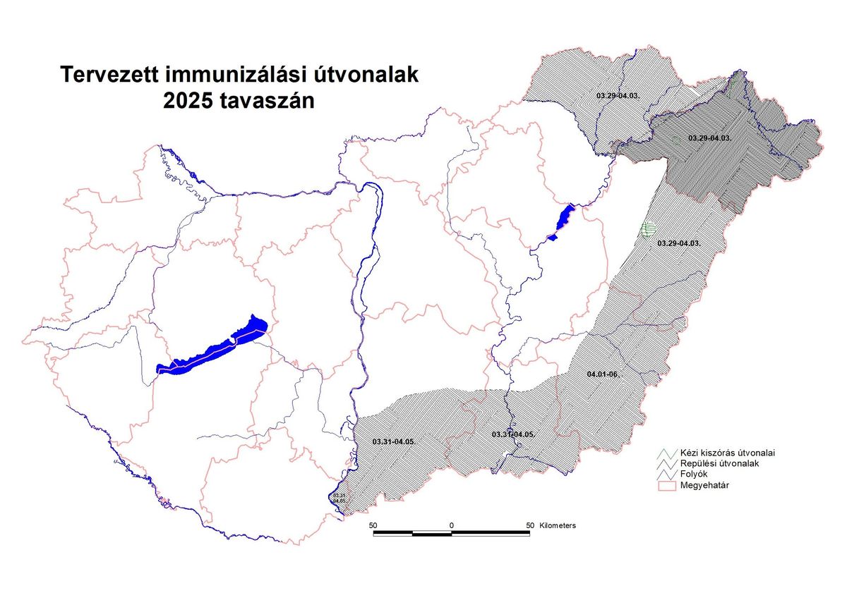 rókavakcinázás, Nébih, Bács-Kiskun