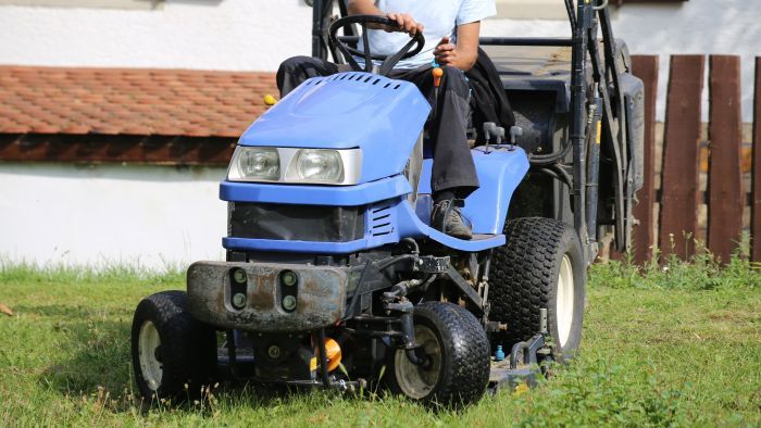 Cikk képe
