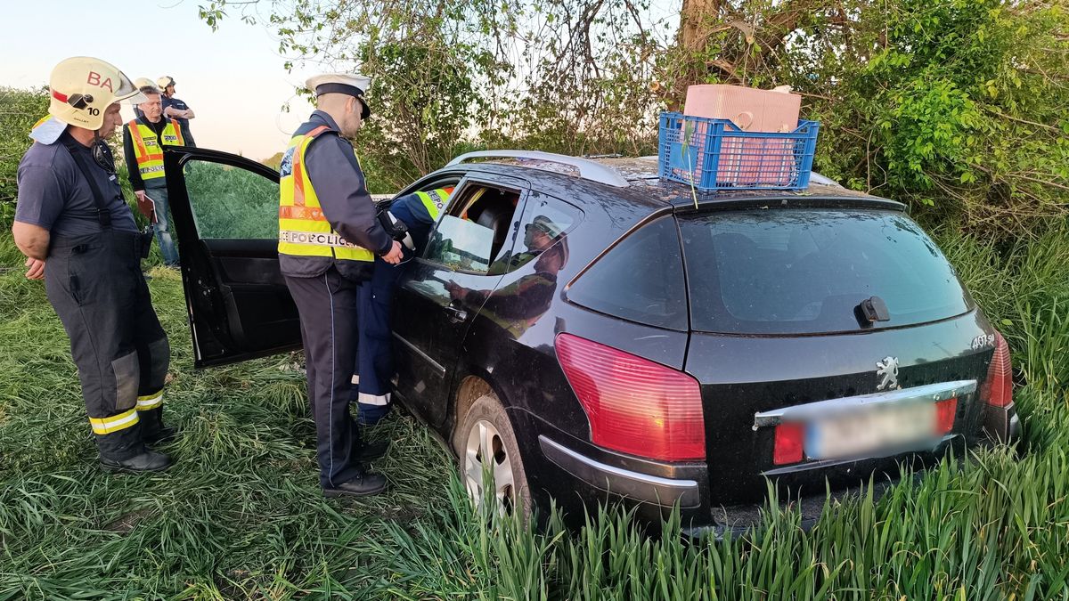 baleset, 51-es főút, holttest