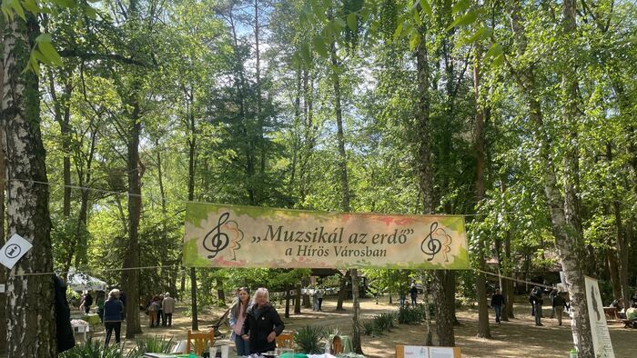 Muzsikál az erdő programsorozat a hetényegyházi Nyíri erdőben