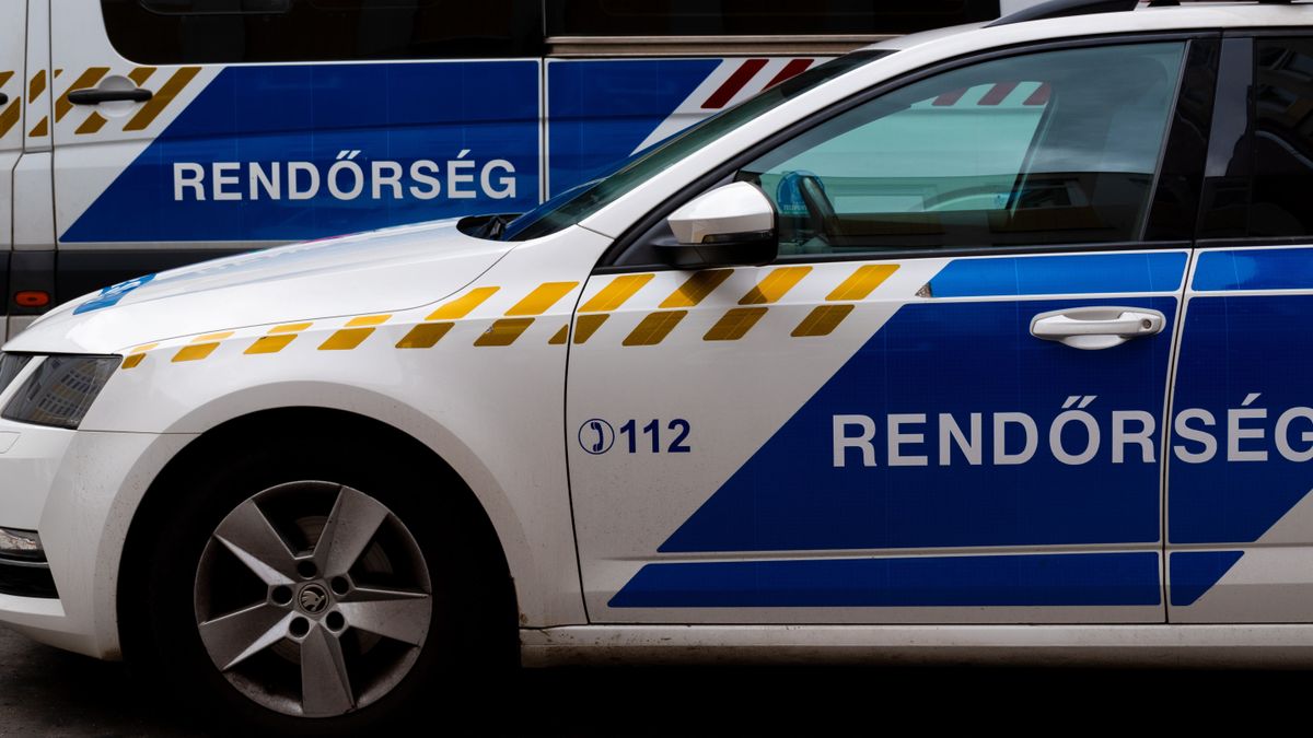 kiskorú testvérpár tűnt el, Kecskemét, eltűnés