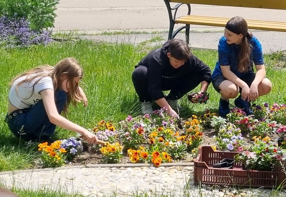 pistikék, Kecskemét, Érzékelések kertje