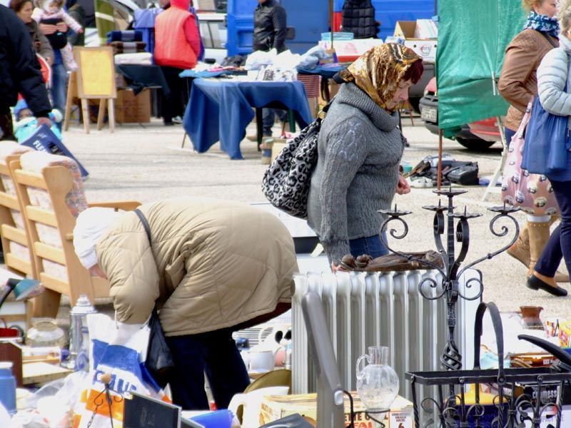 madárinfluenza, kisállatvásár, kecskeméti piac,
