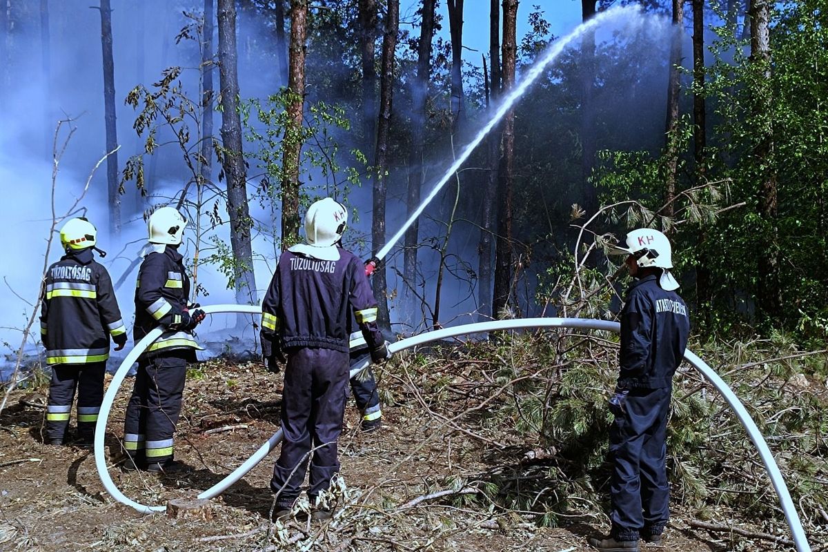 elfojtották a lángokat, Csengele, 