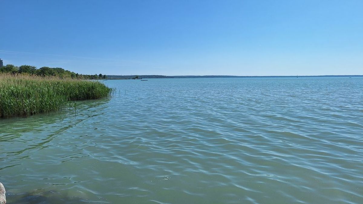 Pestis terjedhet a Balatonnál, még nem azonosították a főút mellett talált rejtélyes holttestet
