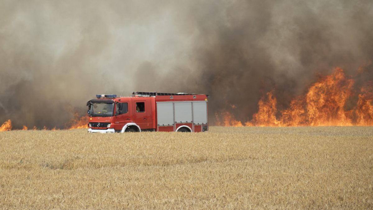 Tiszaalpár, búzaföld, katasztrófavédelem