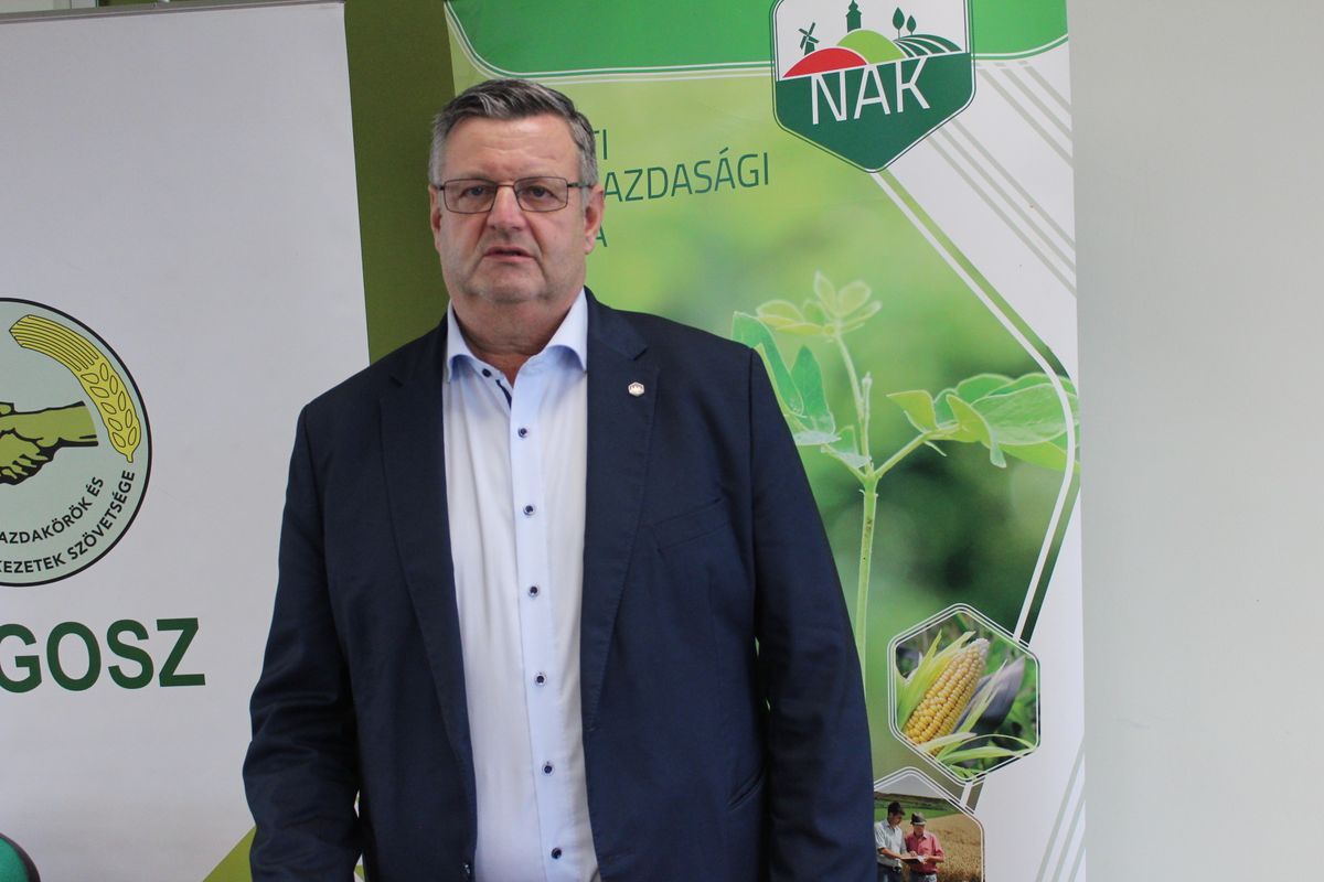 tavasz, fagy, kár, NAK