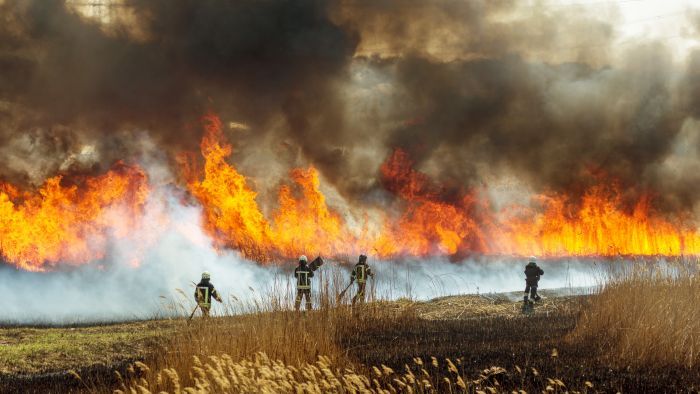 tűzeset, Tompa, Kisszállás,