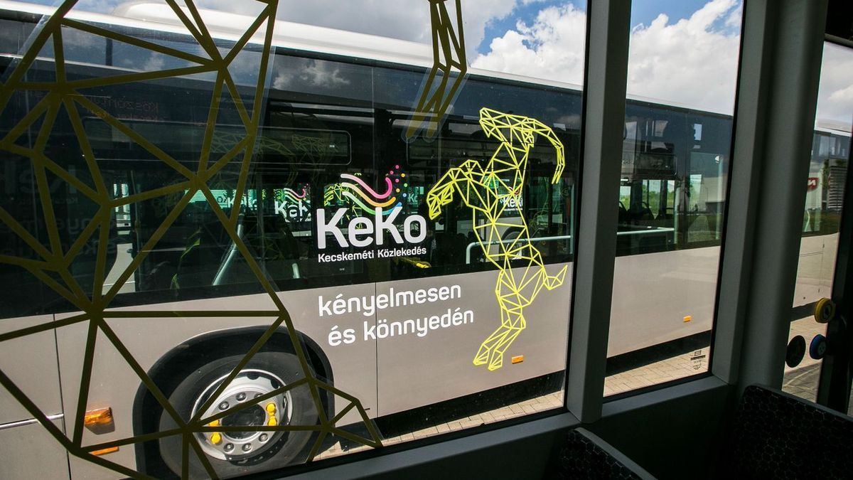 Tetemek között tartotta az állatokat a kistermelő, dühöngő utas támadt a buszsofőrre