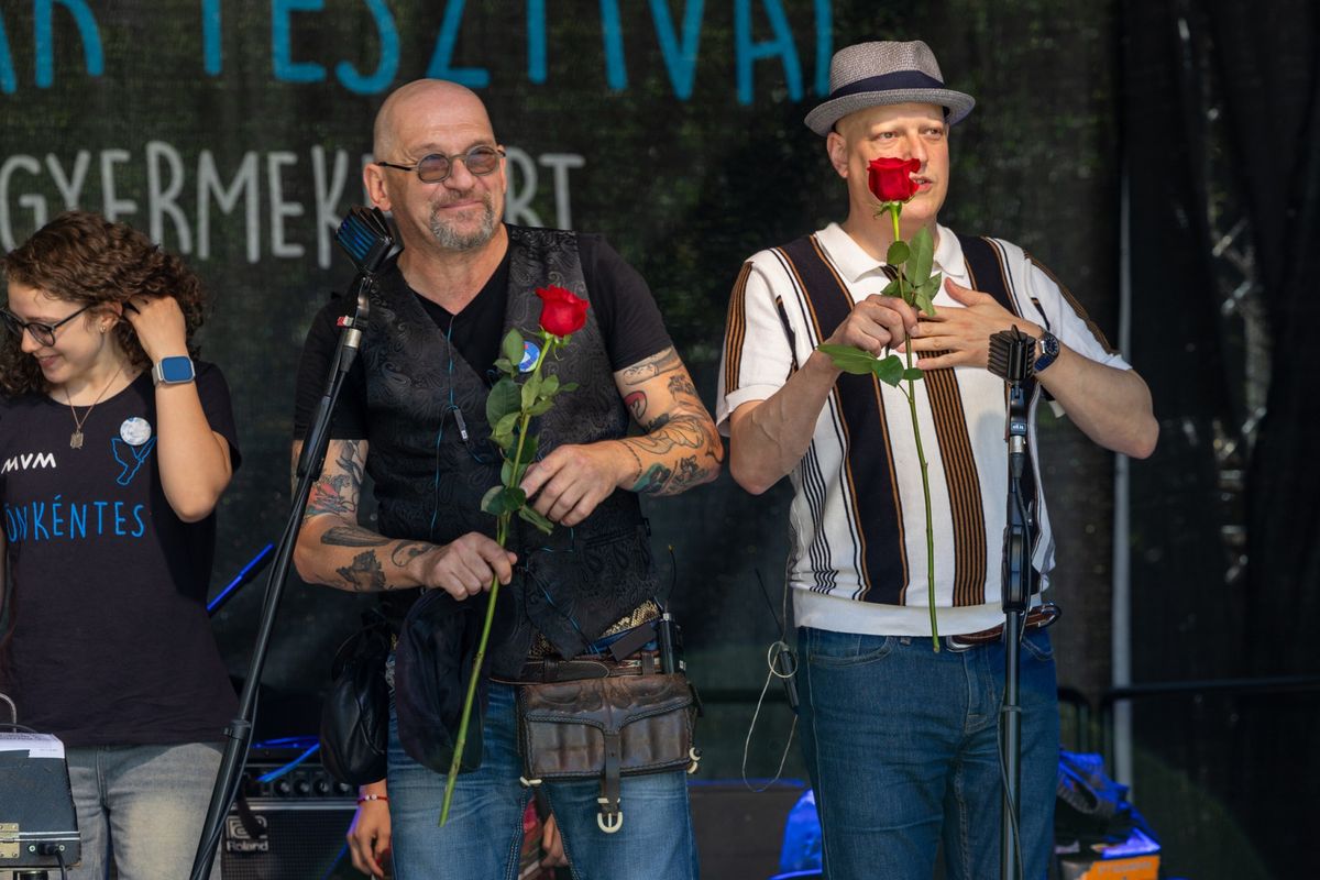 kék madár fesztivál, koncert