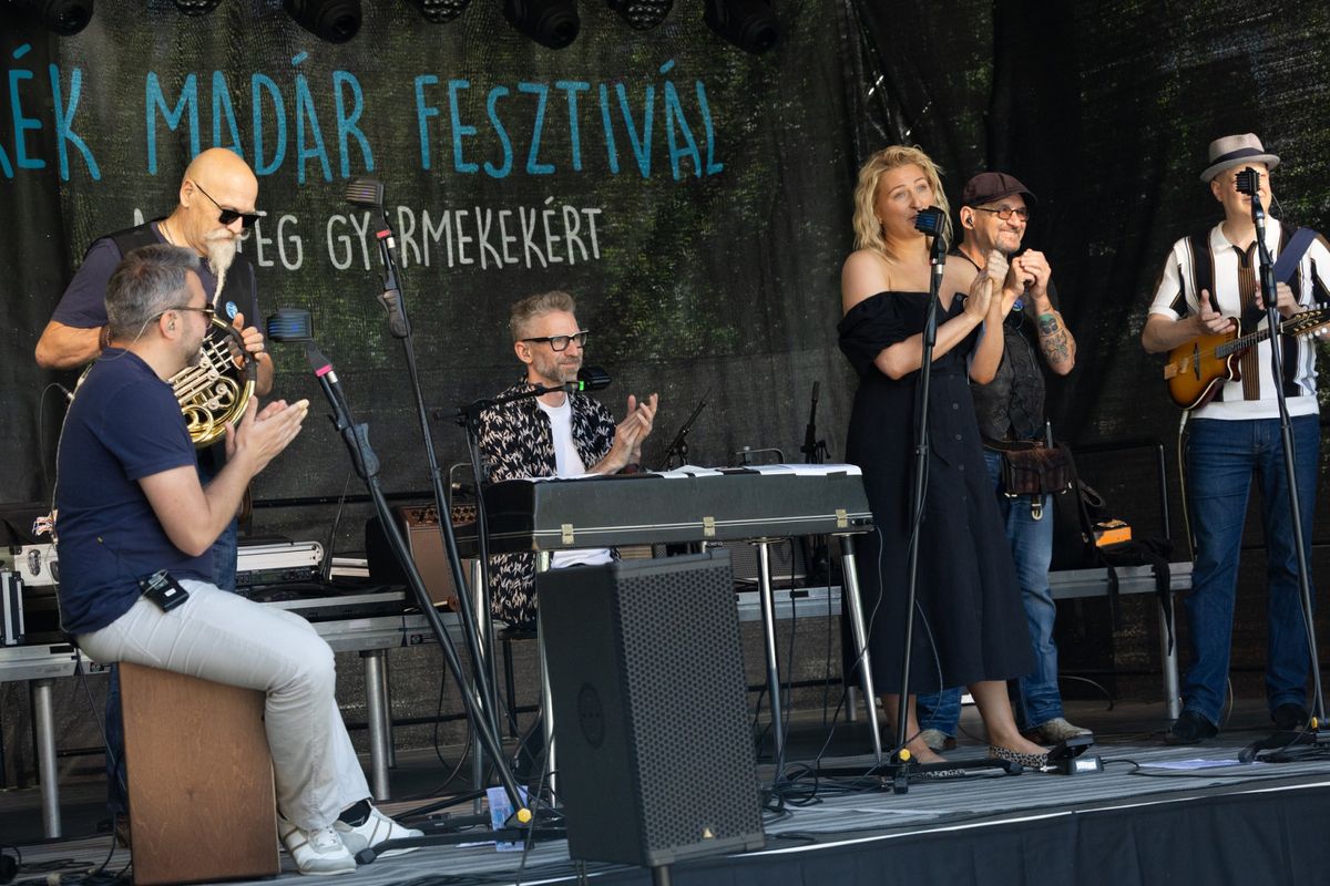 kék madár fesztivál, koncert