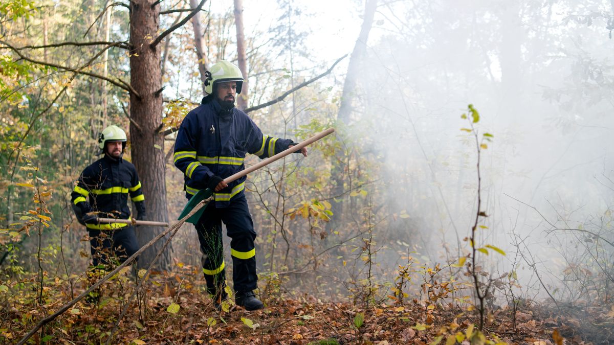 Óriási területen csaptak fel a lángok a vasúti töltés mellett