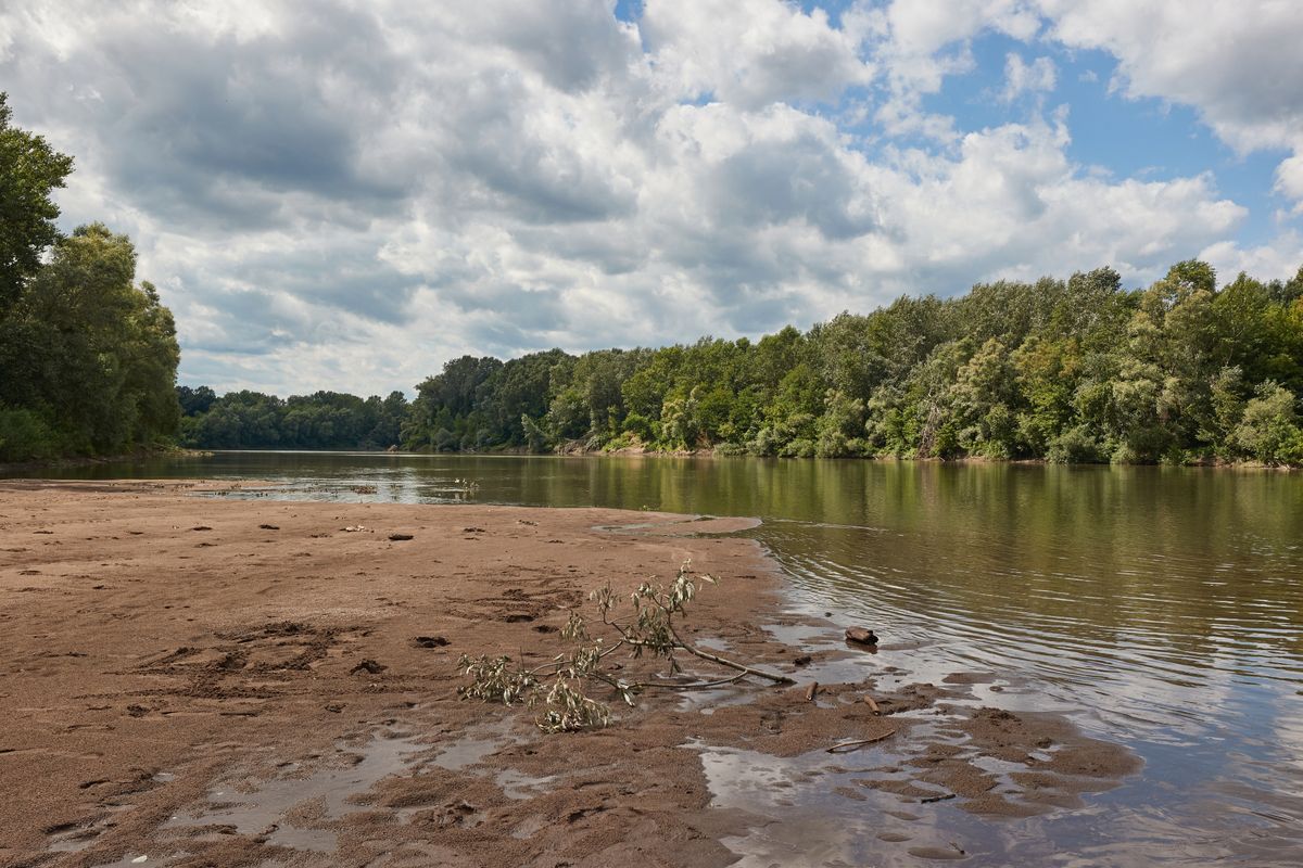 vízállás, Tisza,
