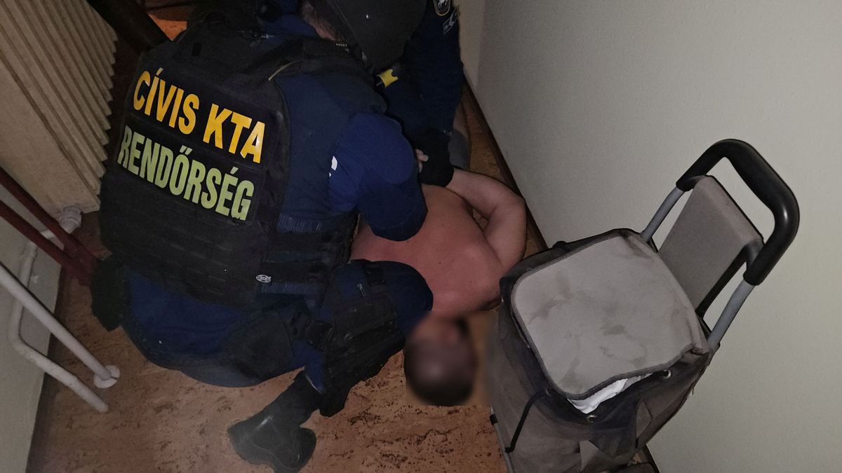 kábítószer-kereskedő, drog, rendőrség