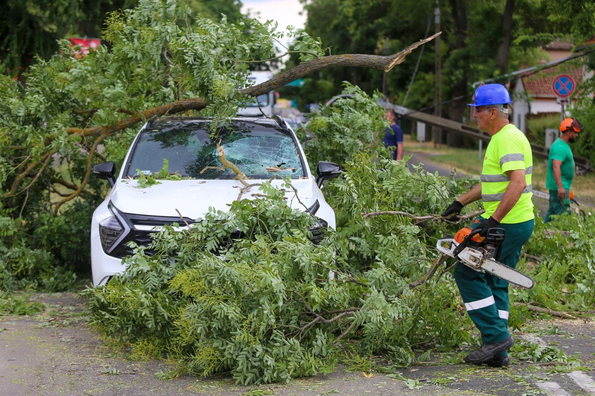 Rekordot döntött a vihar, viharkár, kecskemét