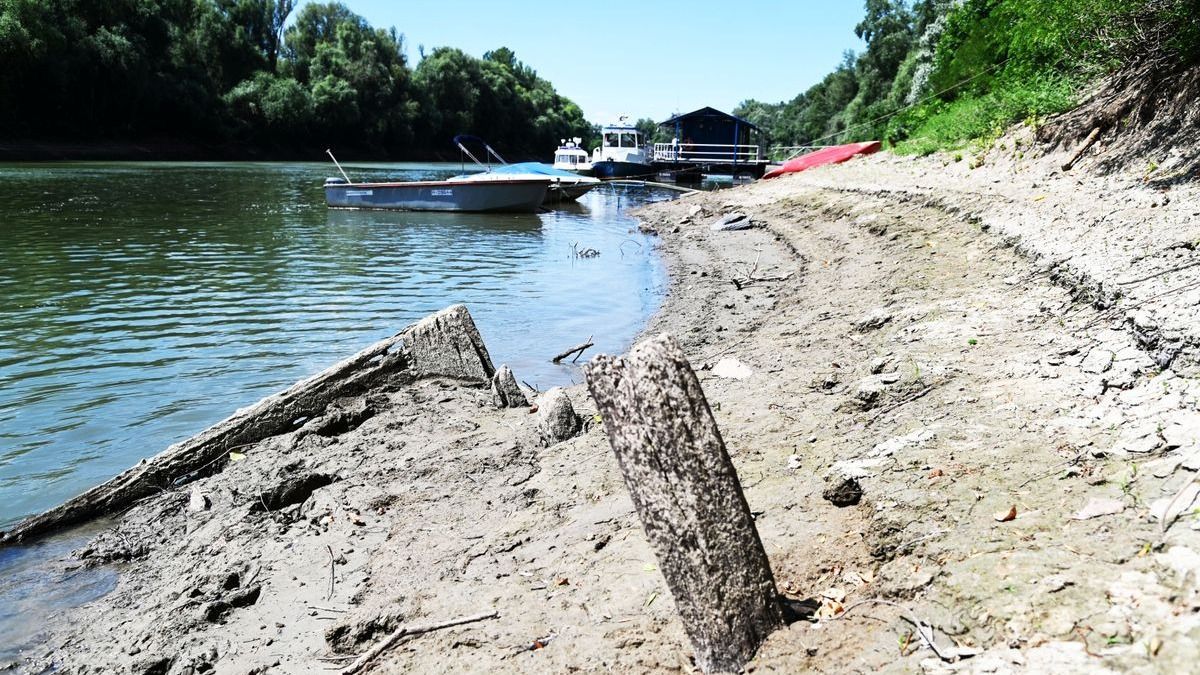vízállás, rekord, Tisza