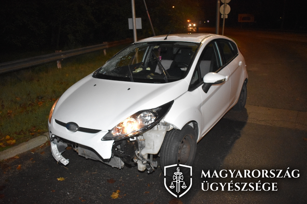 balesetveszély, kidőlt fa