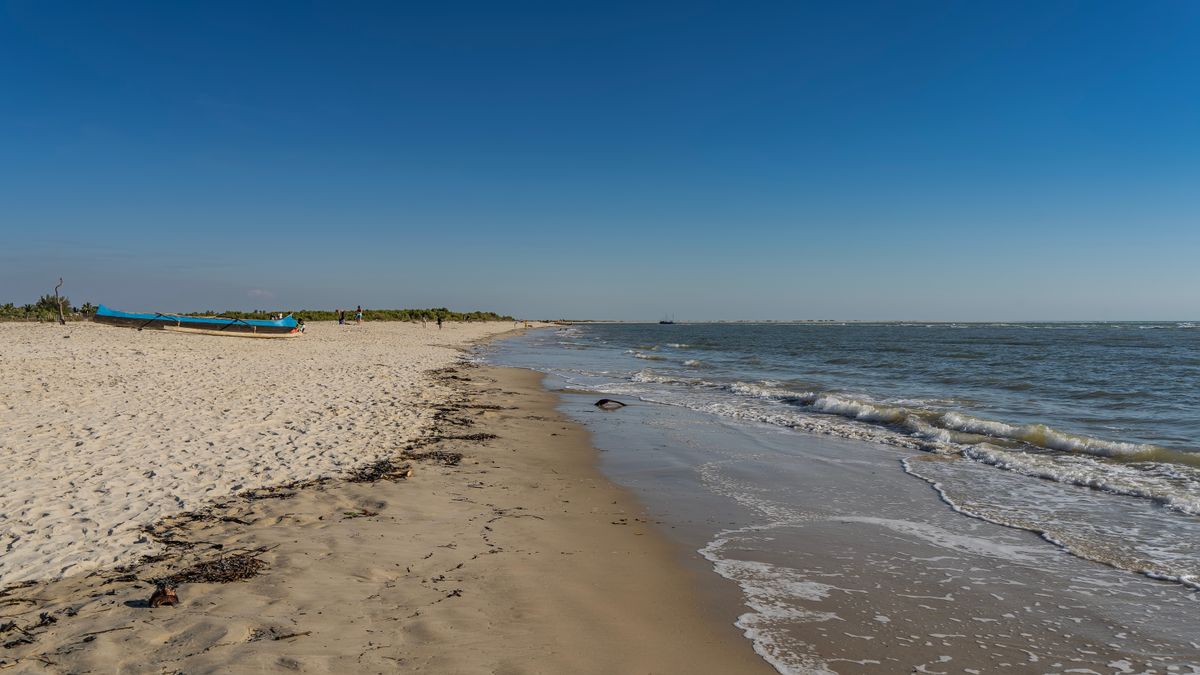kék alga, strand
