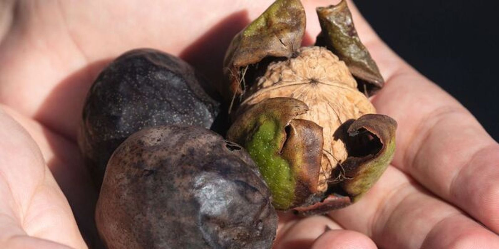 Cewek cantik telanjang di kamar mandi cowok hot youtube