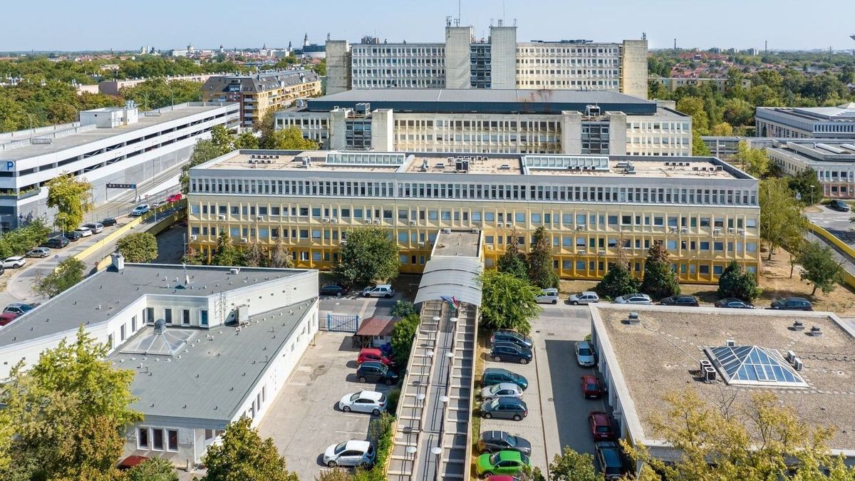 kecskeméti kórház